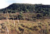 Ladera de valle escarpado con monte denso y valle con tapiz herbceo. Cuenca del A Lunarejo.